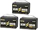 GrnOas.E 12V 100Ah LiFePO4 Lithium Battery 3 Pack, 12 Volt Lithium Batteries Group 31 Low-Temp Protection Built-in 100A BMS, Up to 15000 Deep Cycles, 1280Wh Rechargeable Battery