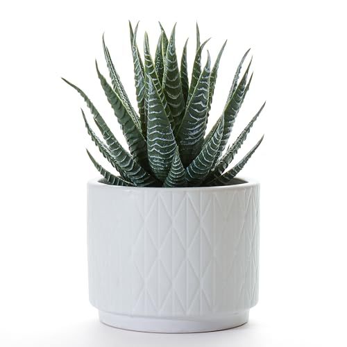 Kurrajong Farmhouse Artificial Succulent Plant in Matte White Ceramic Pot | 7' high Dark Green Aloe...