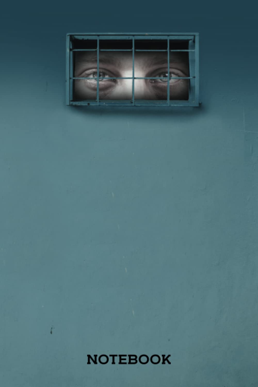 Inmate Notebook: A Prisoners Diary Journal To Document Their Everyday Life Journey In Prison