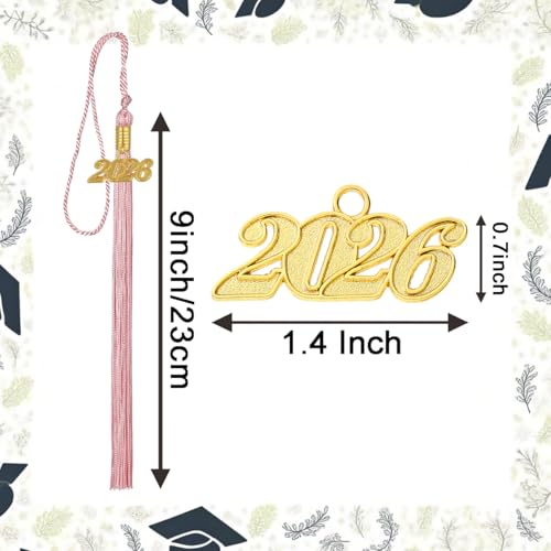 Image of 10 Pieces 2026 Graduation Tassels Bulk with Gold Year Charms for Graduation Cap Accessories (Pink)