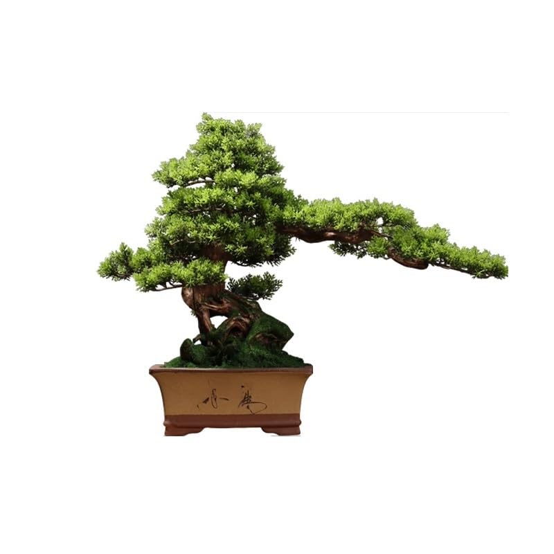 Maceta para árbol falso y planta de simulación verde estilo pino bonsái