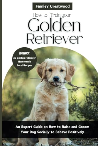 How to Train Your Golden Retriever: An Expert Guide on