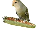 Jouet pour oiseaux pour perruches - Perchoir à friandises pour oiseaux debout, récompensé par des boules de céréales et des boules de foin | Bâton d'enrichissement pour perroquet | Pour maison