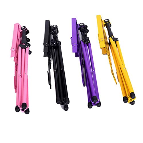 NOLITOY  ܂ ݕʑ  萫 ߂銊 ߑt ϋv̂鑮\ Or[Ή