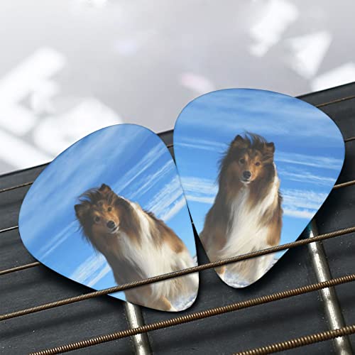 Ensemble de 12 médiators de guitare pour chien Shetland mignon pour guitare acoustique, guitare électrique, contrebasse… - Les Beatles, Paul McCartney, John Lennon, RIngo Starr, George Harrison Ensemble de 12 médiators de guitare pour chien Shetland mignon pour guitare acoustique, guitare électrique, contrebasse… – Image 8