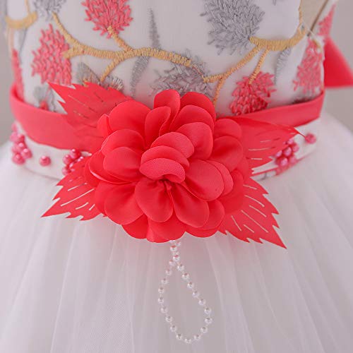 2T 24 Months 3T Fancy Baby Girls Dress Fit Knee Length Tulle Vintage Princess Floral Summer Baptism Wedding Party Little Girl Dress Watermelon 2 3 #TOP3