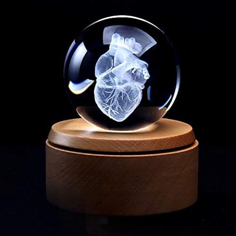 XINDAM 3D Human Heart Anatomical Model Paperweight(Laser Etched) in Crystal Glass Cube Science Gift (Included LED Base) Cover