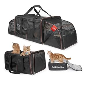 LitaiL Transportbox für 2 Kleine Katzen oder große Katze, Faltbare Katzentransportbox mit Katzenklo, Transporttasche Katze mit Katzentoiletten, Haustiertragetasche für Kleine Hund Welpe, Schwarz