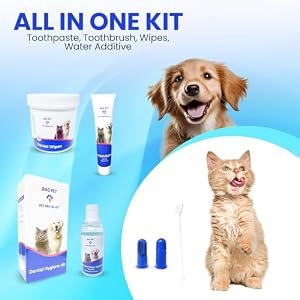 RadPet Advanced Dental Hygiene Kit for Cats & Dogs - Complete Oral Care with Toothbrush, Enzymatic Toothpaste, Dental Wipes, & Water Additive Vet Formulated Pet Toothpaste Kit RadPet Advanced Dental Hygiene Kit for Cats & Dogs โ Complete Oral Care with Toothbrush, Enzymatic Toothpaste, Dental Wipes, & Water Additive Vet Formulated Pet Toothpaste Kit