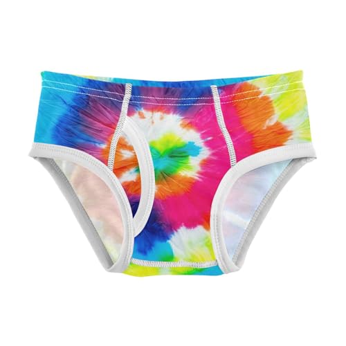 Colorful Tye Die Toddler Boy's Underwear 2T 202c1515