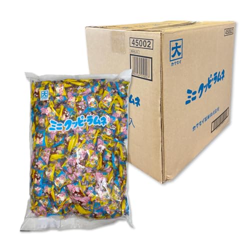 JN_C ~jNbs[l 1kg ×5 P[X̔ PSJBOX l Nbs[l Ɩp e ܂Ƃߔ  ʉَq lߍ킹