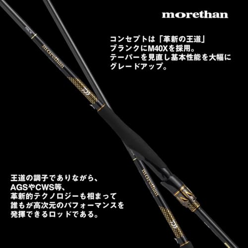 ダイワ(DAIWA) シーバスロッド morethan(モアザン) 各種 (2025年モデル) 3枚目