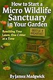 How to start a Micro Wildlife Sanctuary in your Garden: Rewilding your Lawn, One Critter at a Time