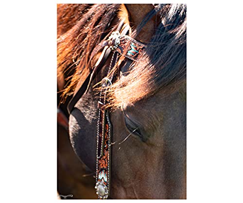 Circle Y Distressed Beaded Leather Browband Headstall For Horse, Walnut #TOP4