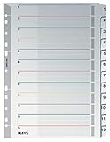 Leitz Register für A4, Laminiertes Deckblatt und 12 Trennblätter mit Zahlenaufdruck 1-12, Lochrand und Taben folienverstärkt, Überbreite, Grau, Karton, 43320000