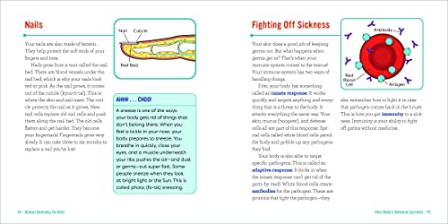 Human Anatomy For Kids: A Junior Scientist's Guide To How We Move, Breathe, And Grow #TOP4