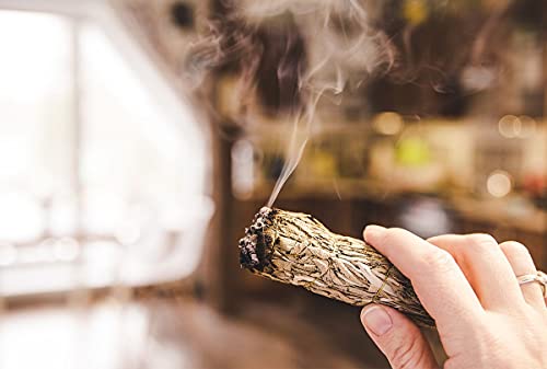 ESSENCIO SHOP Indian White Sage 4 Bundles Smudging Sticks (6 Inches) - 4 Pieces of 28-33 Grams Each Removes Negativity