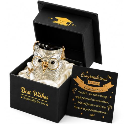 Crystal Glass Owl Graduation Gift Ornament Keepsake in Message Box Graduation Present Novelty Gift