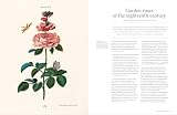Rhs the Rose: The History of the World's Favourite Flower Told Through 40 Extraordinary Roses