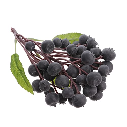 Happyyami Simulation Blueberry Plants Decor Fruit Decor Artificial Fruit Fake Fruit Photo Props Lifelike Realistic Fruit Artificial Berry Branches Fake Blueberries Faux Blueberries Longan