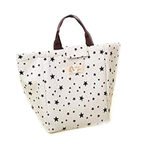 Hions Portable Insulated Thermal Lunch Bag Large Picnic Lunch Container Handbag Lunch Bags