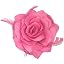 Soft Fuchsia