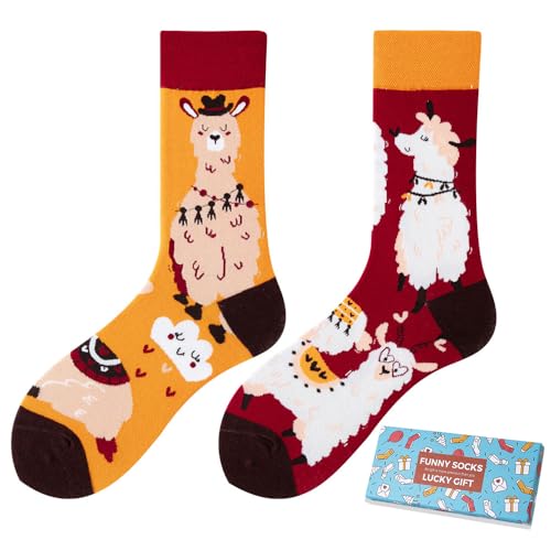 NxnChc Lustige Socken Für Damen Und Herren Unisex Viele Alpaca Motive Tier Essen Obst Sport Kunst Aus Baumwolle Geschenk Asymmetrische Muster Links Und Rechts
