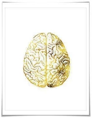 Human Brain Anatomical Gold Foil Art Print. 7 Foil Colours/3 Sizes. Medical Anatomy Doctor Science Poster.