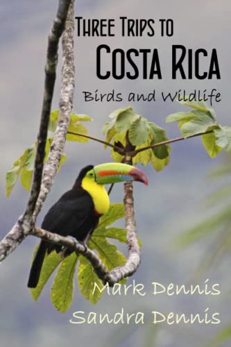 Three Trips to Costa Rica: Birds and Wildlife