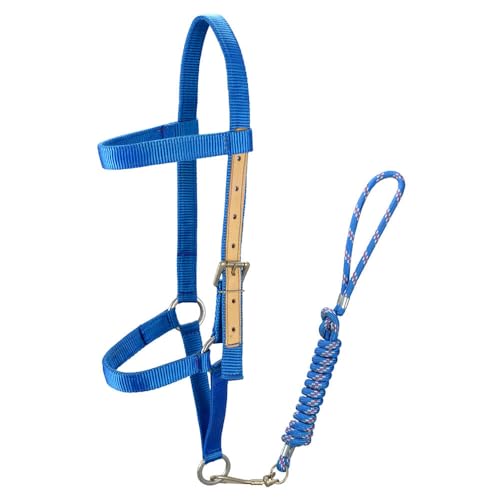 Cabresto de Seda para Cavalo SV5438 - Azul