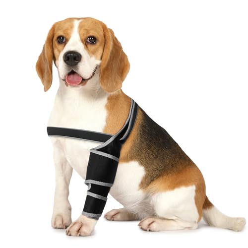 HuuppHip Dog Knee Brace for Torn ACL, Dog Leg Braces, Dog CCL Brace Front Leg or Rear Leg with Cruciate Ligament Injuries, Durable Pain Relief Hip Dysplasia Support Brace for Back Legs, XL