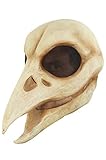 Ghoulish Productions Raven Skull Mask, Raven Mask Masquerade. Raven Skull Mask For Halloween. Full Head Skull Mask. Skull Latex Mask Full Face. Skulls Line. Adult Mask. One Size Latex Mask