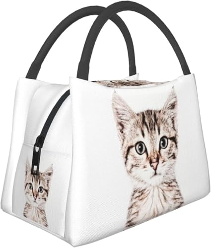 `obO L ۗobO ٓobO e  ^ѕ֗ \tgN[[ ~jg[gobO  ʋ ʍZ s sNjbNɍœK