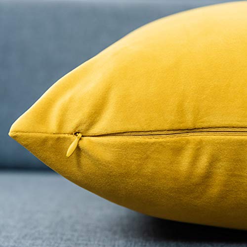Image of JUSPURBET 16x16 Decorative Velvet Throw Pillow Covers Cases Set of 2,Yellow | Modern Soft Cushion Covers with Hidden Zipper for Couch Sofa Bed Living Room Bedroom Home Decor