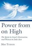 Power from on High: The Spirit in Israel's Restoration and Witness in Luke-Acts