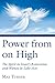Power from on High: The Spirit in Israel's Restoration and Witness in Luke-Acts