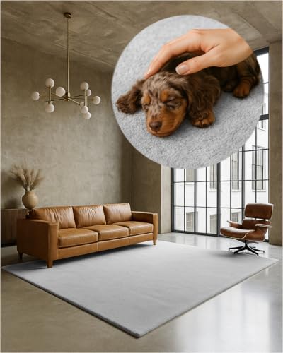 TEXMAXX Weicher Kurzflor Teppich Wohnzimmer mit rutschhemmender Rückseite (120 x 170 cm) - Modern für Flur, Esszimmer und als Schlafzimmer Teppich in Hell-Grau-Silber - Waschbar bis 30 Grad TEXMAXX Weicher Kurzflor Teppich Wohnzimmer mit rutschhemmender Rückseite (120 x 170 cm) - Modern für Flur, Esszimmer und als Schlafzimmer Teppich in Hell-Grau-Silber - Waschbar bis 30 Grad