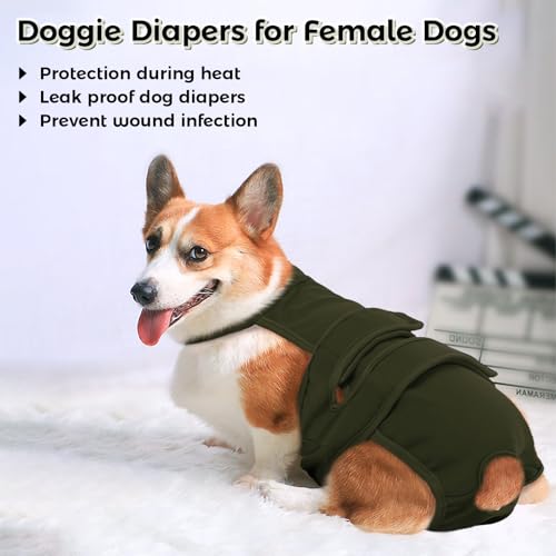 Image of QBLEEV Female Dog Diapers with Adjustable Suspenders - Washable Sanitary Panties for Dogs in Heat or Incontinence, Escape-Proof Reusable Pet Period Underwear Onesie for Small to Large Breeds