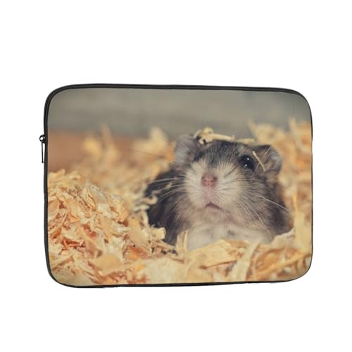 m[gp\RP[X 킢 nX^[ 60°ی ϏՌ p\RobO ^ p\RJo[ y Vv ʊw ʋ rWlX jp lC v[g 17 C`