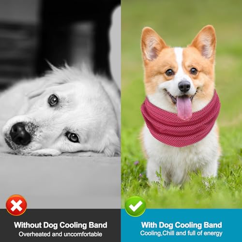 Kühlhalsband für Hunde, Hunde halstücher Kühlend, Hundehalsband Kühlend, Kühlendes Hundehalsband, Geeignet für Kühlhunde im Sommer, 55 x 16 cm