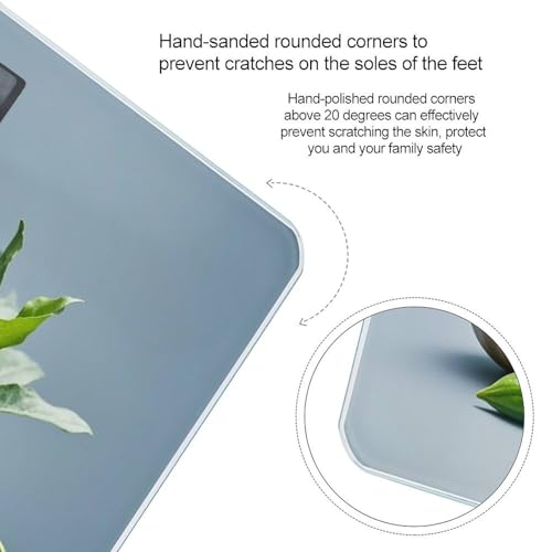 Báscula Digital de Baño Precisa con Pantalla Grande miniatura 4