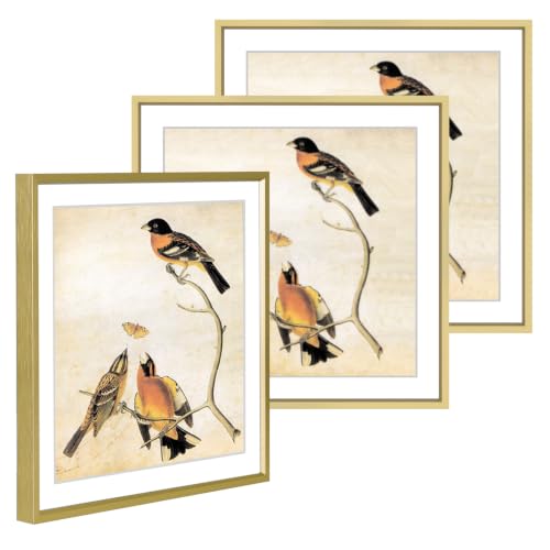 BKABOT 12x12 Blass Picture Frame Fits 10x10 with Mat HD Glass 3 Pack