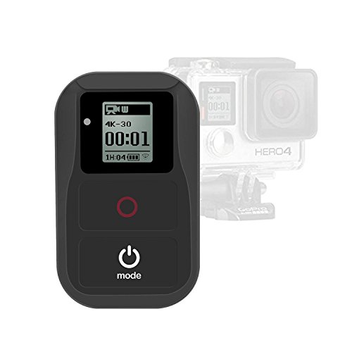 Top 10 Best Gopro Remotes in 2020 Reviews Buyer's Guide