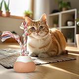 Zoom IMG-2 bexdug palla interattiva per cani Zoom IMG-2 bexdug palla interattiva per cani