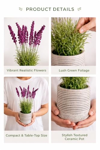 Image of Garden Art Artificial Lavender Plant with Pot - Flocked Purple Lavender Flowers in Textured Pot, Perfect for Home Decor, Office Desk & Gift Use (P-0230Pink)