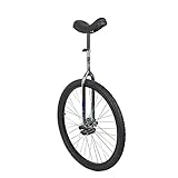 Sun 28 Inch Classic Chrome/Black Unicycle