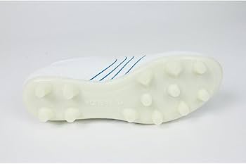 Amazon.co.jp: ヤスダ YASUDA LIGARESTA PRO-AW (リガレスタプロ