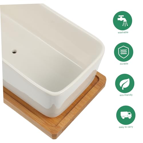 Pot de fleurs pour bonsaï avec plateau pour éviter les fuites d'eau sur vos meubles
