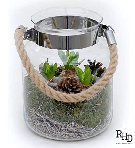 Image of Elegant Clear Glass for Home Decor | Decorative Lighting | Lantern with Jute Handle | Hanging Glass Planters Decoration | Garden Planters Borosilicate Glass (Clear, Large)