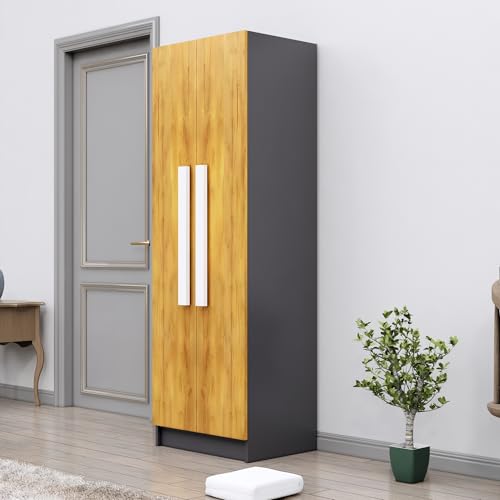 Image of Bniture Wooden Almirah for Clothes, Door for Bedroom, 2 Door Wardrobe with 4 Shelves Huge Storage Space (46D x 60W x 182H CM) | 3 Year Warranty (Slate Grey & Giant Wood)